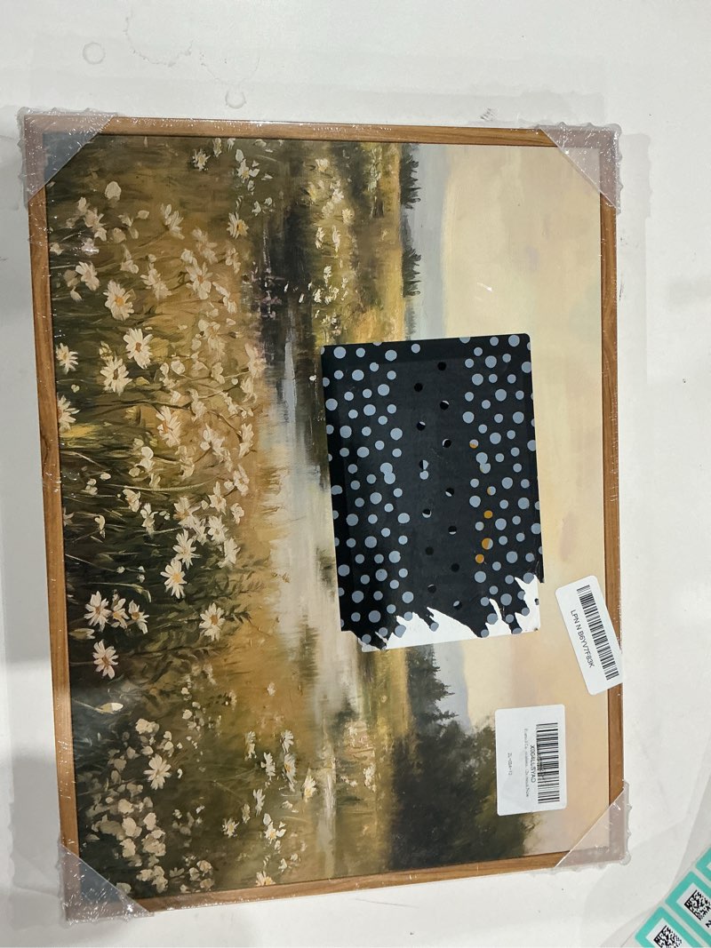 Condition photo showing New/Like New for insimsea framed canvas wall art vintage decor, farmhouse wall decor for living room bedroom office bathroom, spring landscape wildflower field oil painting prints, home desk decorations, 12x16inch grassland wetland 16"l x 12"w