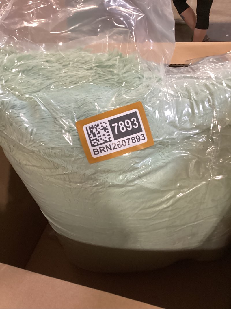 Condition photo showing New/Like New for dweike fluffy sage green rugs for bedroom living room, 8x10 large soft plush shaggy light mint green girls boys kids rug, non-slip and machine washable carpet for dorm nursery classroom decor 8' x 10' (rectangular) green