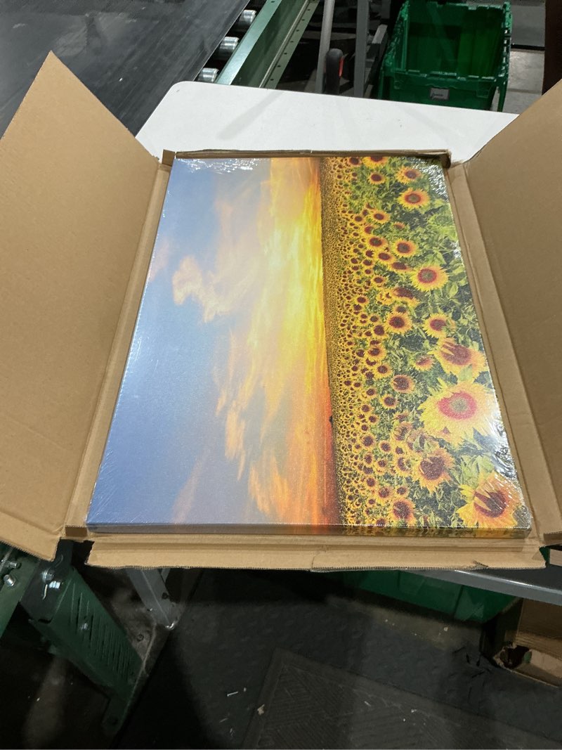 Condition photo showing New/Like New for pacimo wall art for living room sunflowers landscape modern wall decor for bedroom office decor yellow flowers sea painting framed canvas art prints wall pictures home decor ready to hang 16"x24" artwork-20 16w" x 24l"