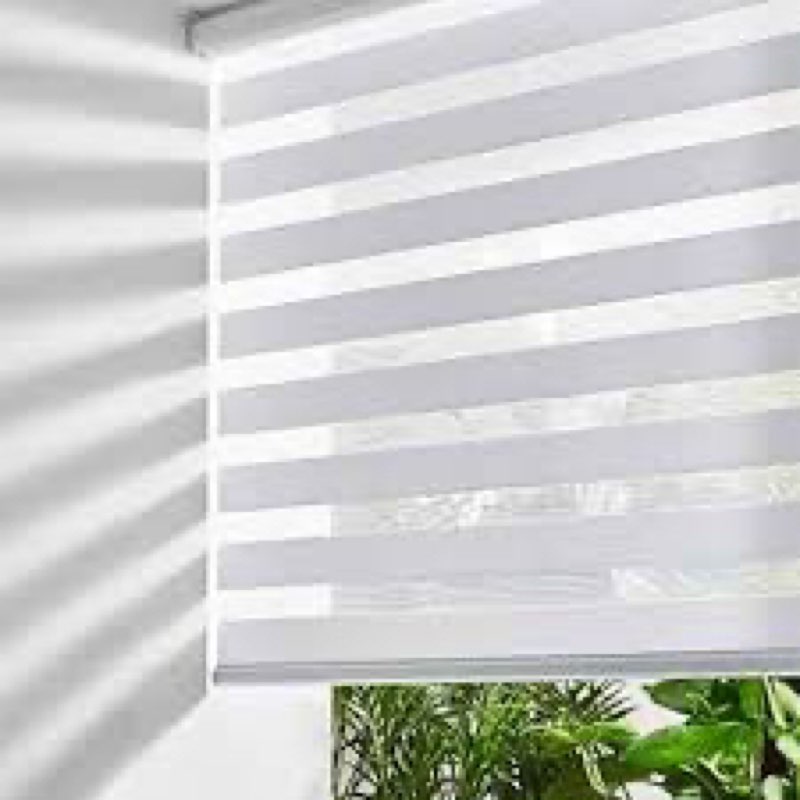 Bricurtex Cordless Zebra Blinds for Windows Shade Dual Layer Free-Stop Light Filtering Blackout Roll