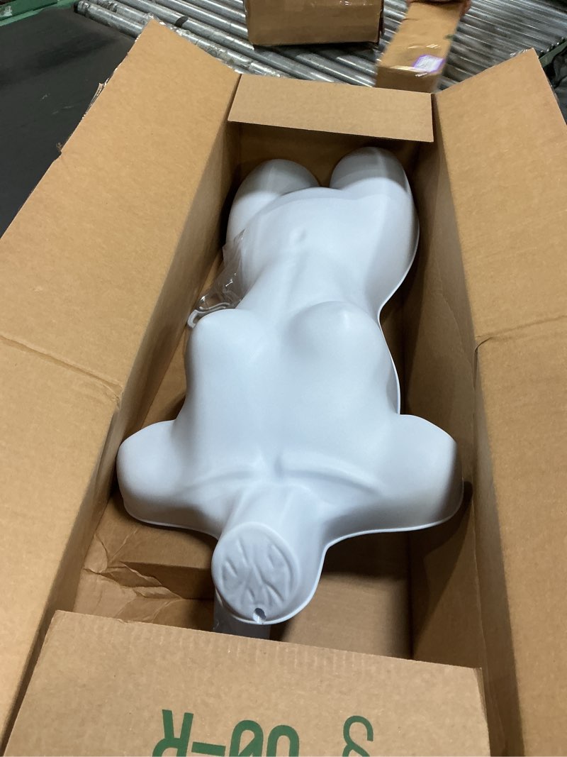 Condition photo showing Good Condition for SSWBasics Female Mannequin Torso - Fits Women’s Sizes 5-10 - Molded, Shatterproof & White