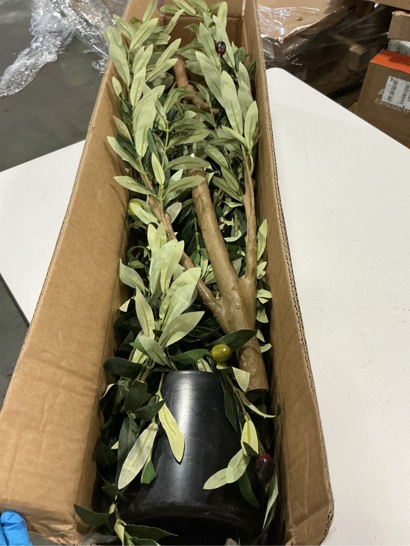 Condition photo showing As Is for Bellacat Faux Olive Tree 6ft?Olive Trees Artificial Indoor with Natural Wood Trunk and Realistic Leaves and Fruits. 6 Feet(72in) Fake Olive Tree for Home House Office Décor. 1 6ft