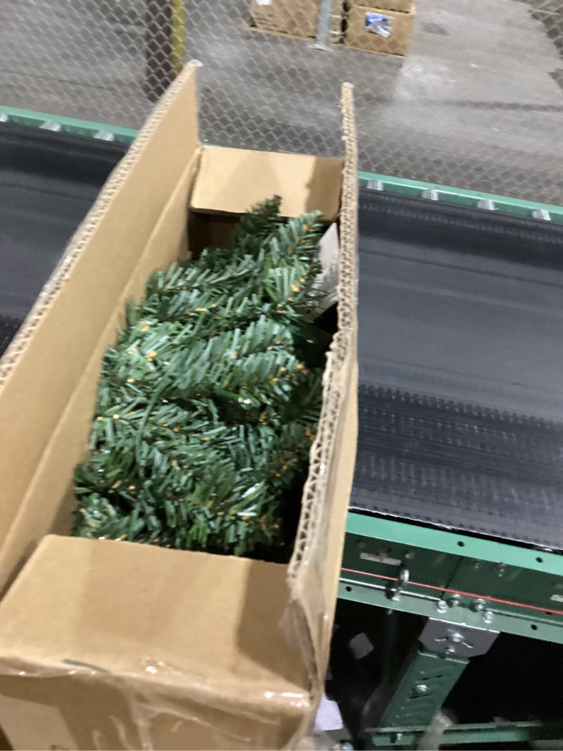 Condition photo showing Good Condition for Papyrus 24" Pre-Lit Blue Spruce Artificial Wreath, Warm White Light, Battery Powered, Indoor/Outdoor 24" Natural