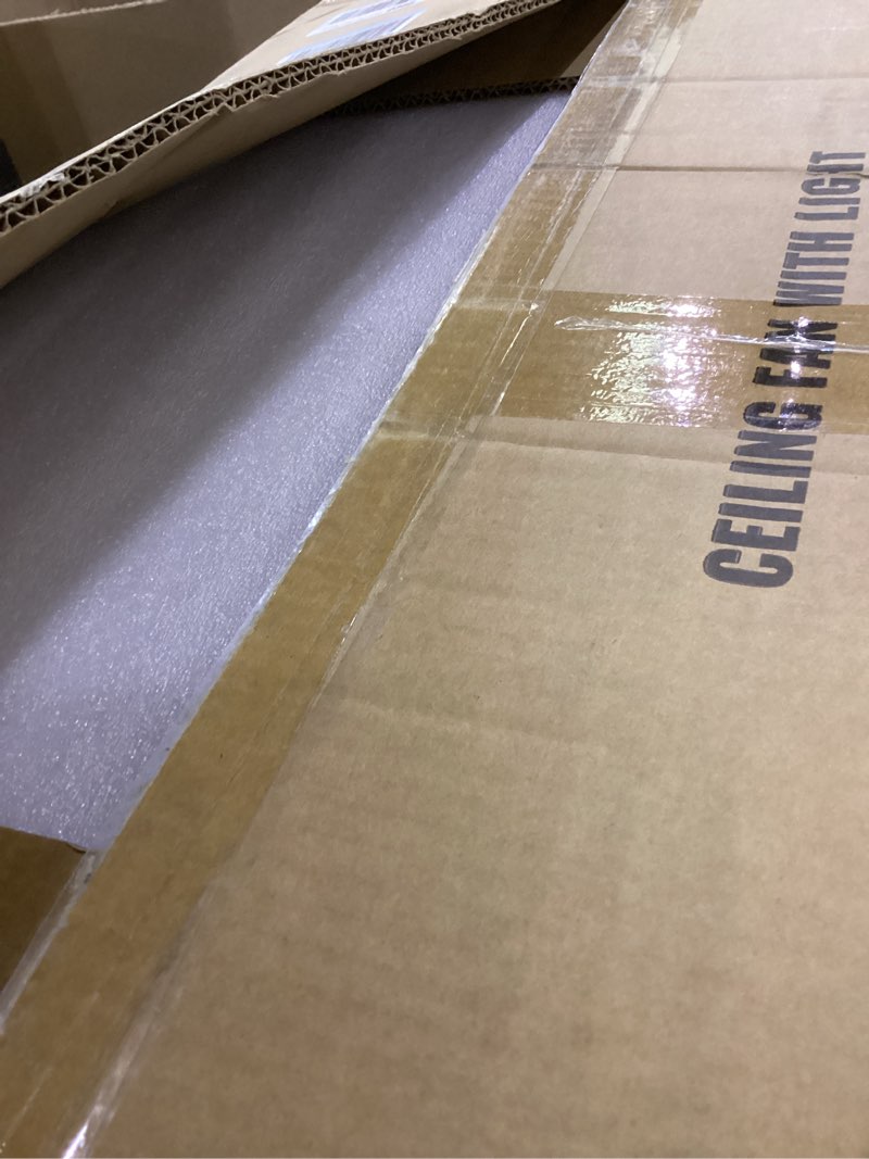 Ceiling fan with light