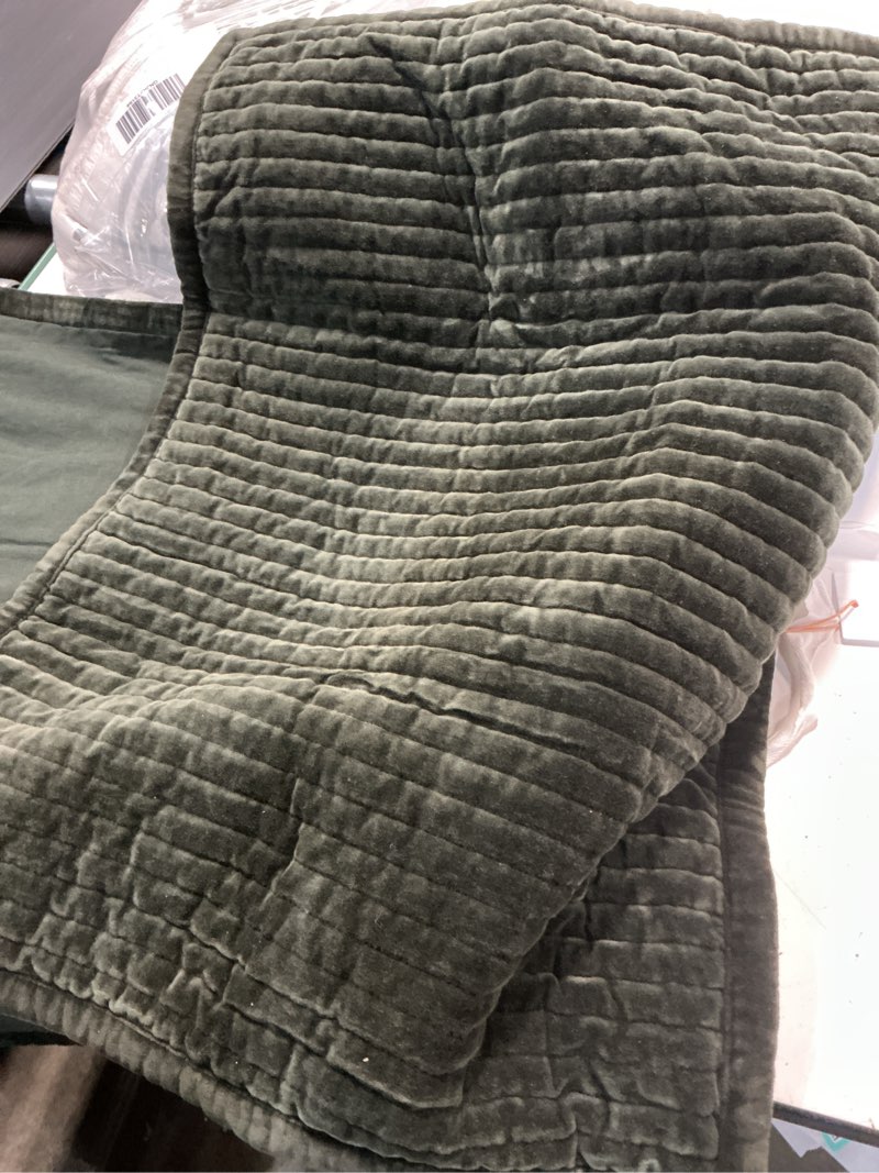 Condition photo showing Good Condition for shadow velvet forest green standard pillow shams set of 2 20 inx20