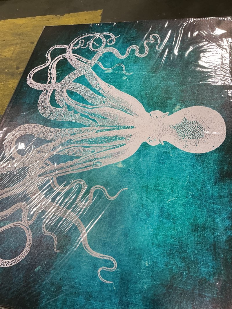 NAN Wind 1 Pcs Ocean Octopus Canvas Wall Art Prints Painting Pictures Sea Animal Marine Life Beach T