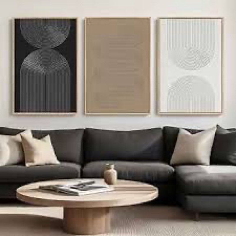 3D Textured Framed Boho Neutral Abstract Wall Art, 3 Piece Modern Artwork for Walls, Black White Bro