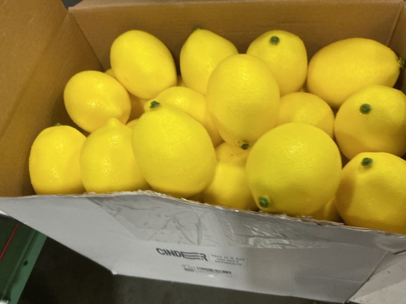 Condition photo showing New/Like New for cindeer fall fake lemon fake fruit faux yellow lemon decor lifelike simulation artificial fruit for party table summer kitchen vase filler wreath garland photography decoration(3.1 x 2.1 inch,60 pcs) 60 3.1 x 2.1 inch