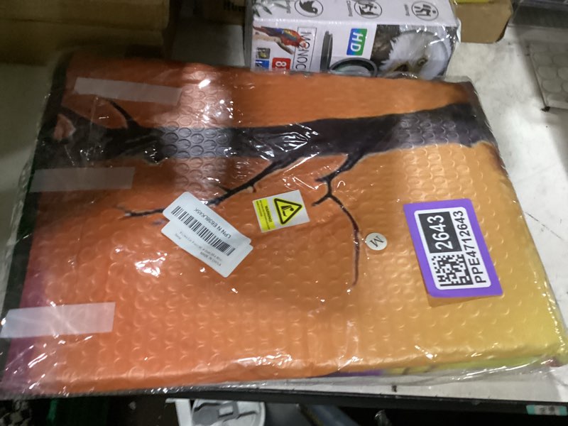 Condition photo showing New/Like New for dujiea car front window sunshade fish print foldable auto windshield sun shade uv heat sun visor protector-keeps your vehicle cool- 55 x 30 in bass fish medium (55 x 30 in)