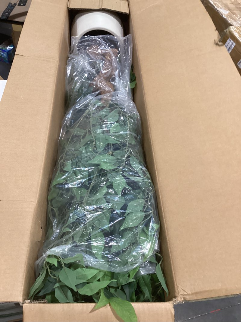 Condition photo showing Good Condition for 6ft artificial ficus tree with white pot, tall faux ficus plant with realistic natural trunk and lifelike green leaves, indoor fake silk tree for home, office, living room, or corner decor thin ficus-6ft