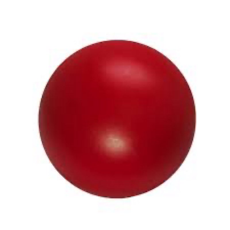 Virtually Indestructible Best Ball for Dogs, 10-inch, red