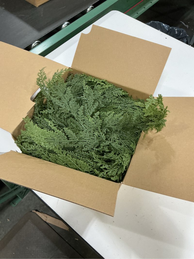 Condition photo showing New/Like New for depmem 9ft christmas garland, realistic cedar cypress norfolk pine greenery garland faux christmas decorations for mantle, fireplace, table, stairs, doors, porch, indoor outdoor christmas decor 9ft-cedar 1