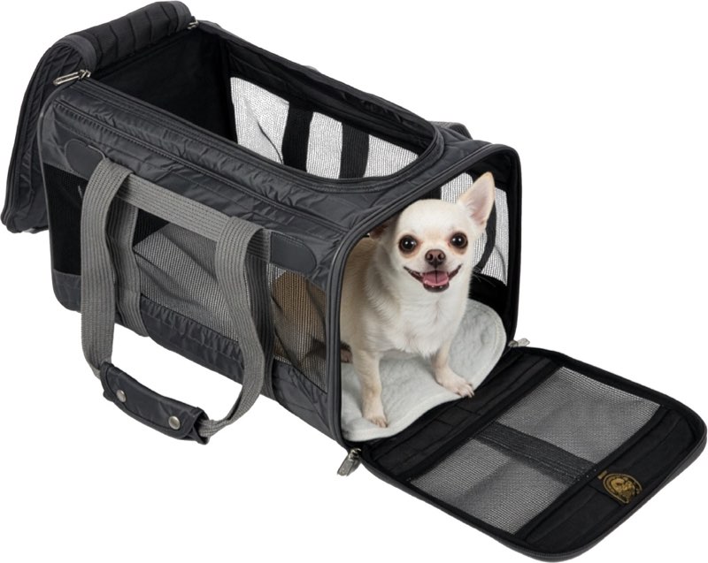 Sherpa Pet Carrier Airline Approved with Spring Wire Frame - Cat & Dog Carrier for In-Cabin Travel, Mesh Ventilation, Locking Zippers - Charcoal Grey, Large 19.0"L x 11.5"W x 11.8"H Charcoal