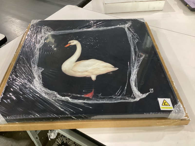 Standing goose wall art with an all black background, Size 24x24