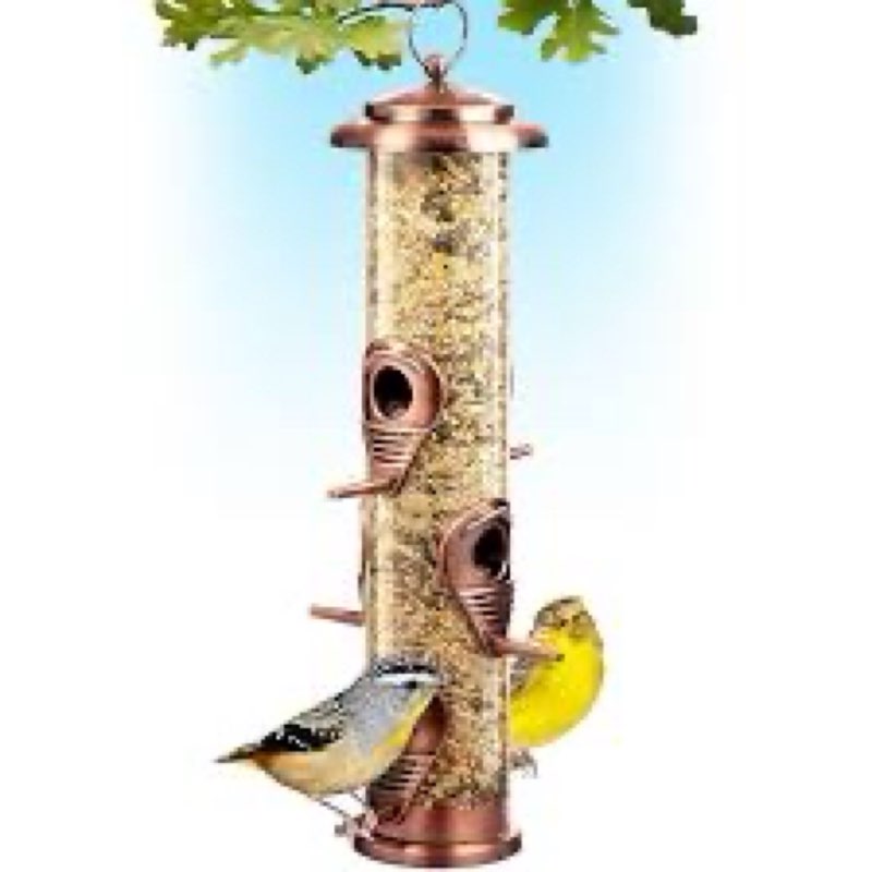 Bird Feeders for Outdoors (Brushed Metal Copper) Squirrel Proof Hanging Bird Feeders with Locking Lid & Adjustable Hanger, Chew-Proof,( similar stock photo)