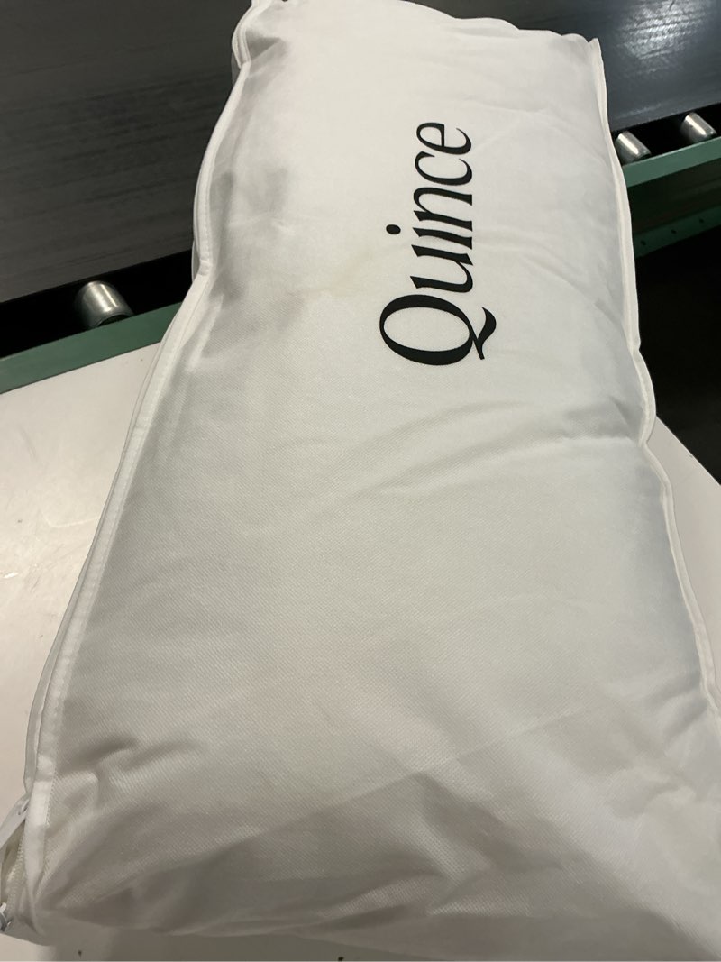 Condition photo showing As Is for premium down alternative pillow, king, firm