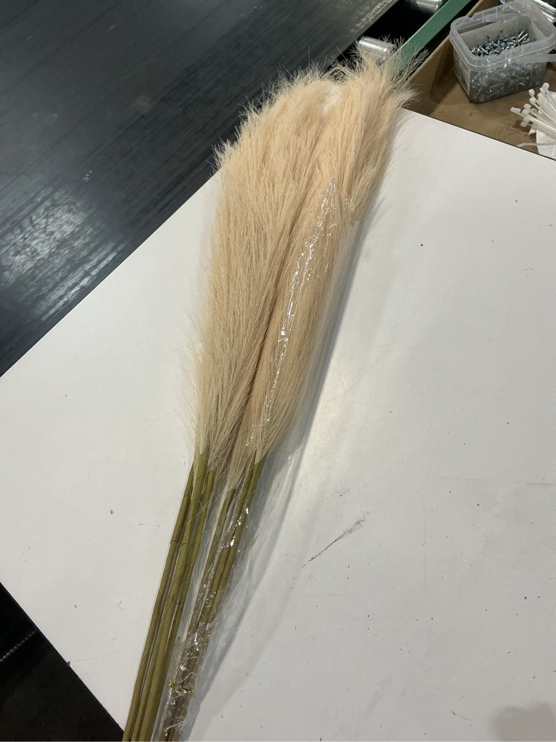 Condition photo showing Good Condition for wertuirk 8 pcs tall faux pampas grass decor, large artificial brown pompous grass bulk, long fake pompas for floor vase filler, wedding, baby shower, home and boho decor (brown)