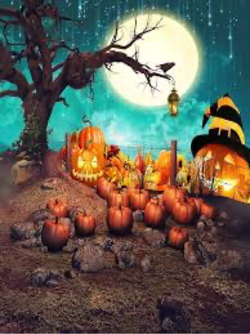Halloween Backdrop Horror Moon Night Haunted House Pumpkins Bats Skeleton Cemetery Photography Backg