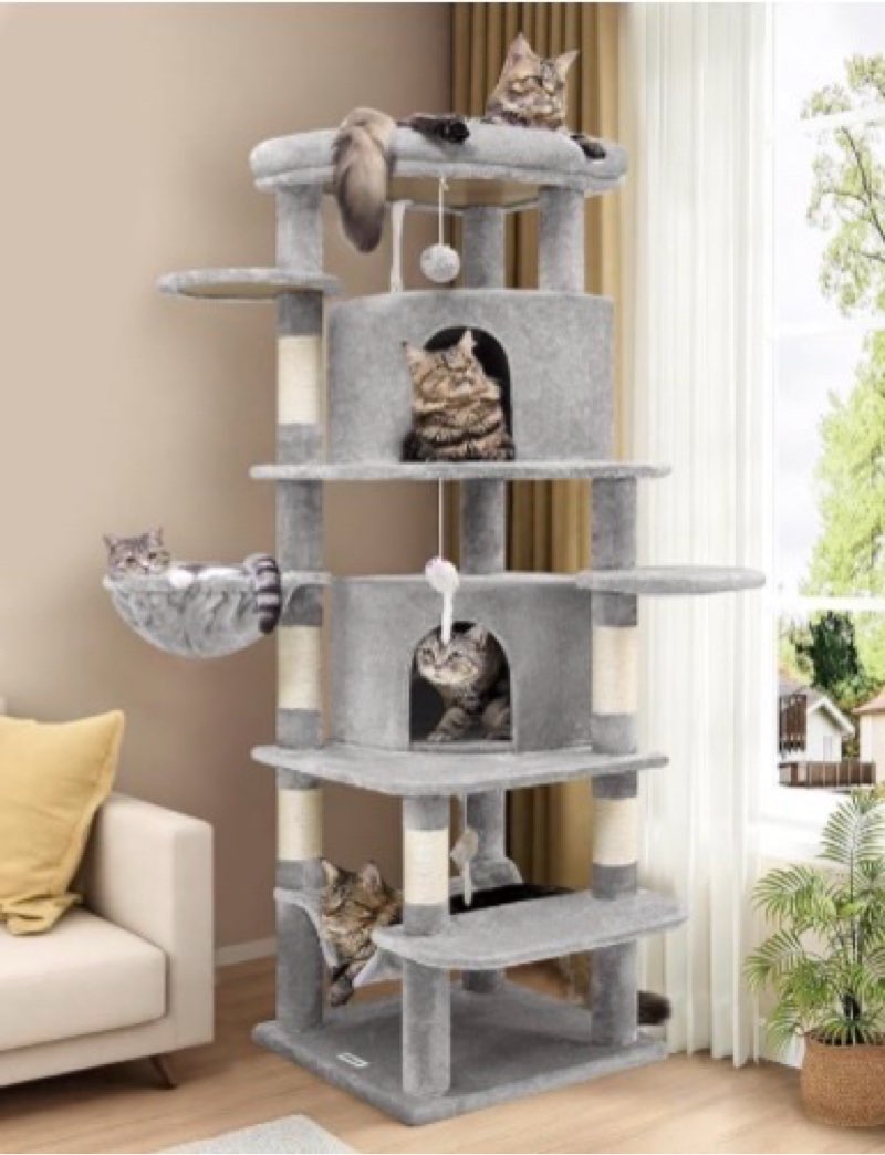 Good Morning Deals !