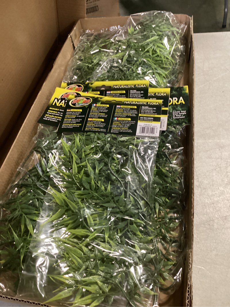 Condition photo showing New/Like New for Natural Bush™ Plants – Madagascar Bamboo Size Small Pack of 12