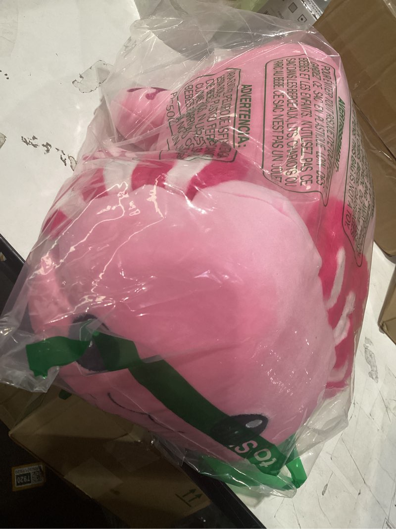 Condition photo showing Good Condition for 5 in 1 axolotl plush toys for girls boys, 18" mommy axolotl stuffed animal with 4 baby axolotls pink stuffed axolotl plush with babies axolotl plushies for kids toddler birthday christmas plush gifts axolotl set