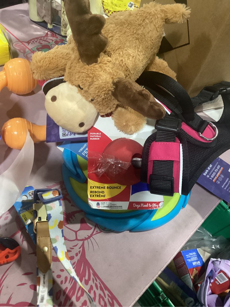 assorted medium dog items 