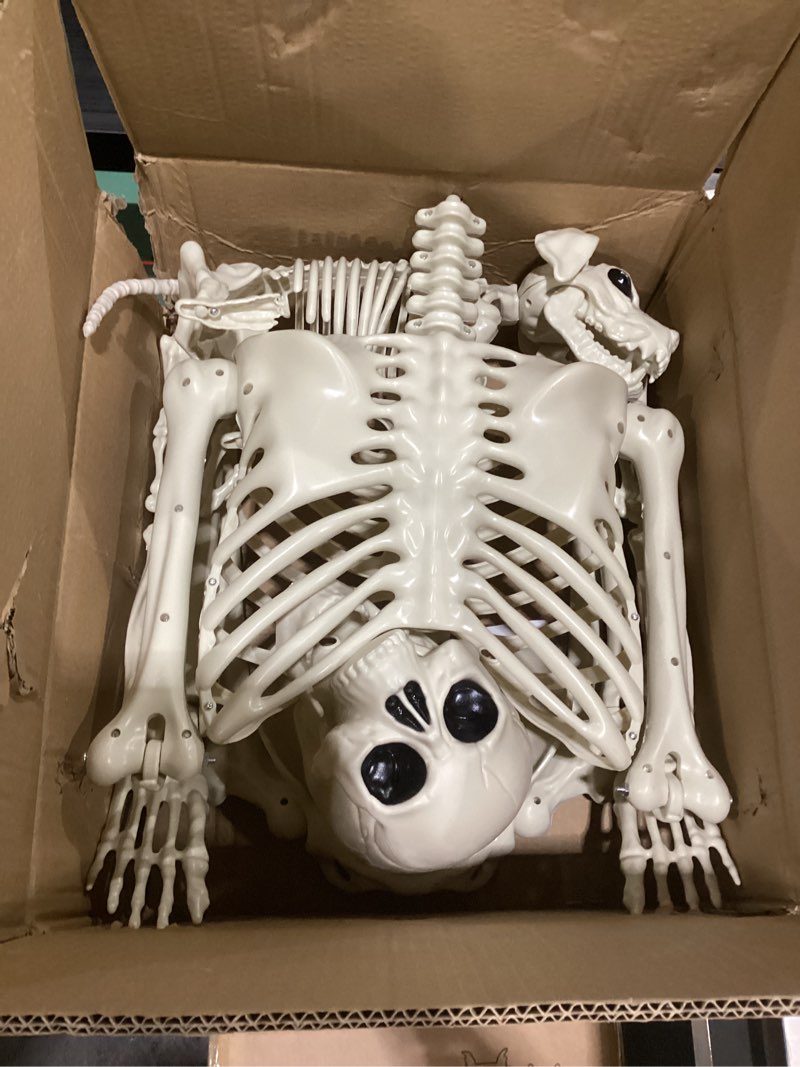 Condition photo showing As Is for umeelr 5.4ft halloween skeletons, full size skeleton with skeleton dog, plastic life size human skeletons for halloween graveyard haunted house party decoration