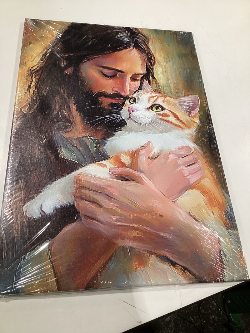 Condition photo showing New/Like New for jesus and the cat canvas wall art christian jesus and animal picture wall art christ god religious painting prints bedroom decors(christian-3,16x24inch (40x60cm)) christian-3 16x24inch (40x60cm)