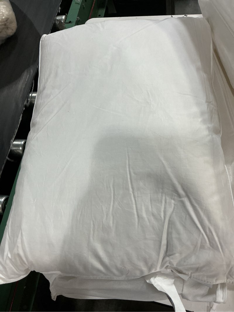 Condition photo showing Good Condition for quince duck pillow firm standard white 