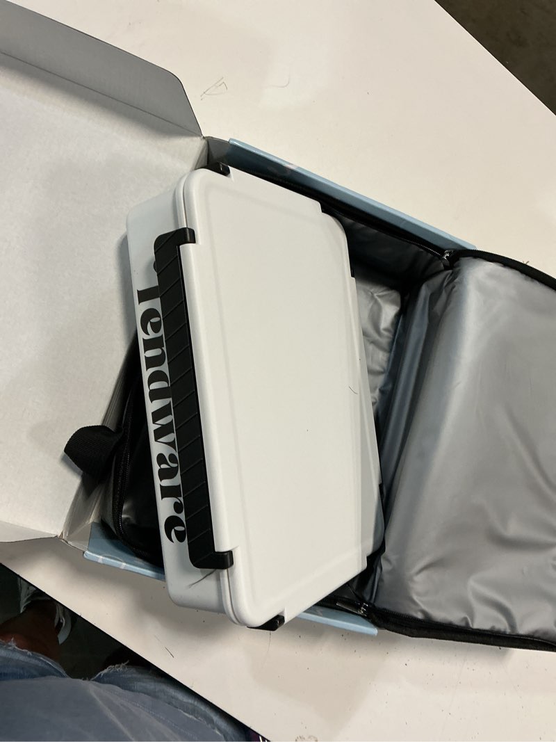 Condition photo showing New/Like New for chilled portable snackle box container with ice pack, divided serving tray with insulated bag, beach essentials for summer, snack containers for road trip charcuterie snack picnic, white