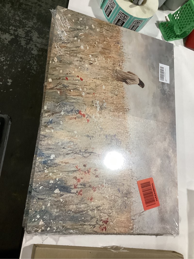 Condition photo showing New/Like New for jesus canvas wall art picture modern christian faith poster prints jesus in wildflower field abstract painting artwork wall decor for living room bedroom office church 16x24in framed canvas 24"l x 16"w