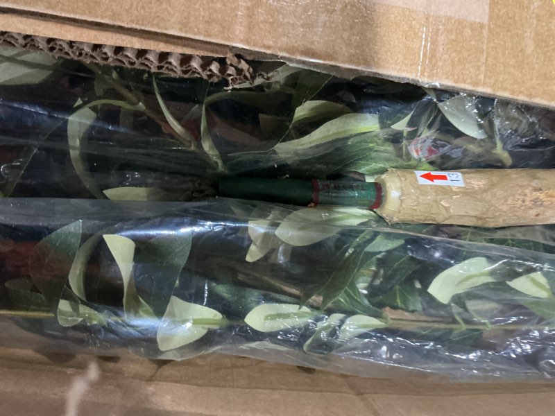 Condition photo showing Good Condition for Bellacat Faux Olive Tree 5ft?Olive Trees Artificial Indoor with Natural Wood Trunk and Realistic Leaves and Fruits. 5 Feet(60in) Fake Olive Tree for Home House Office Décor. 1 5ft