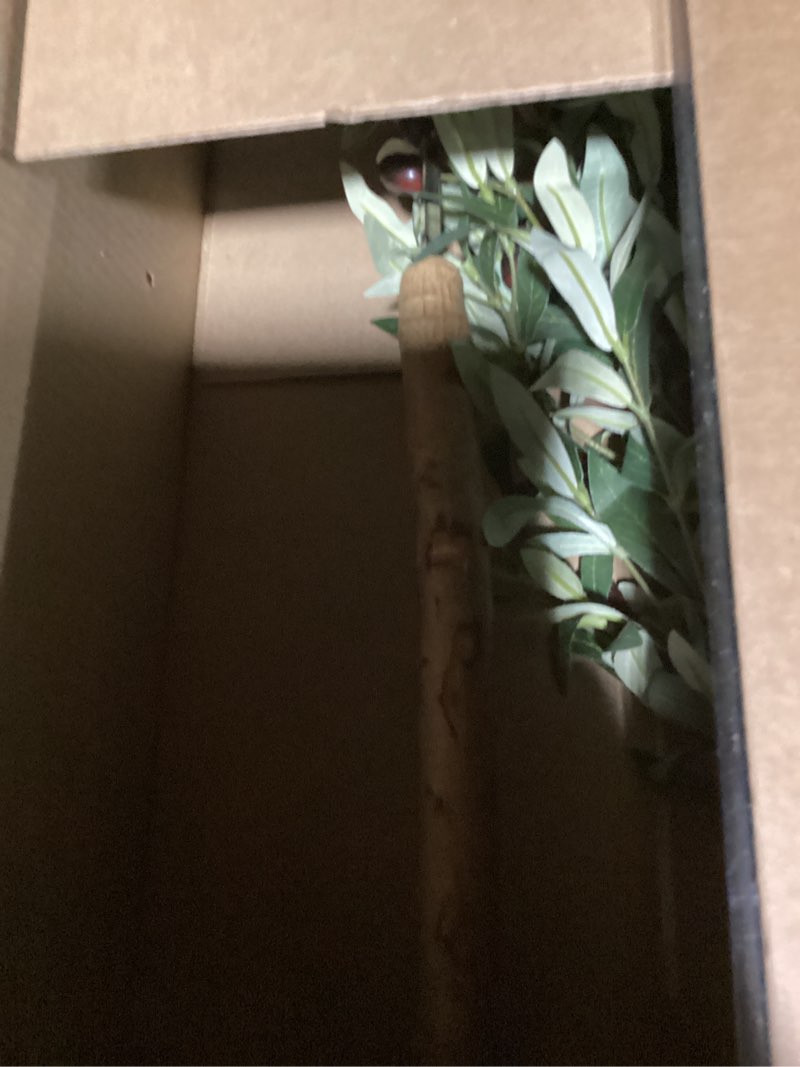 Condition photo showing New/Like New for Bellacat Faux Olive Tree 5ft?Olive Trees Artificial Indoor with Natural Wood Trunk and Realistic Leaves and Fruits. 5 Feet(60in) Fake Olive Tree for Home House Office Décor. 1 5ft