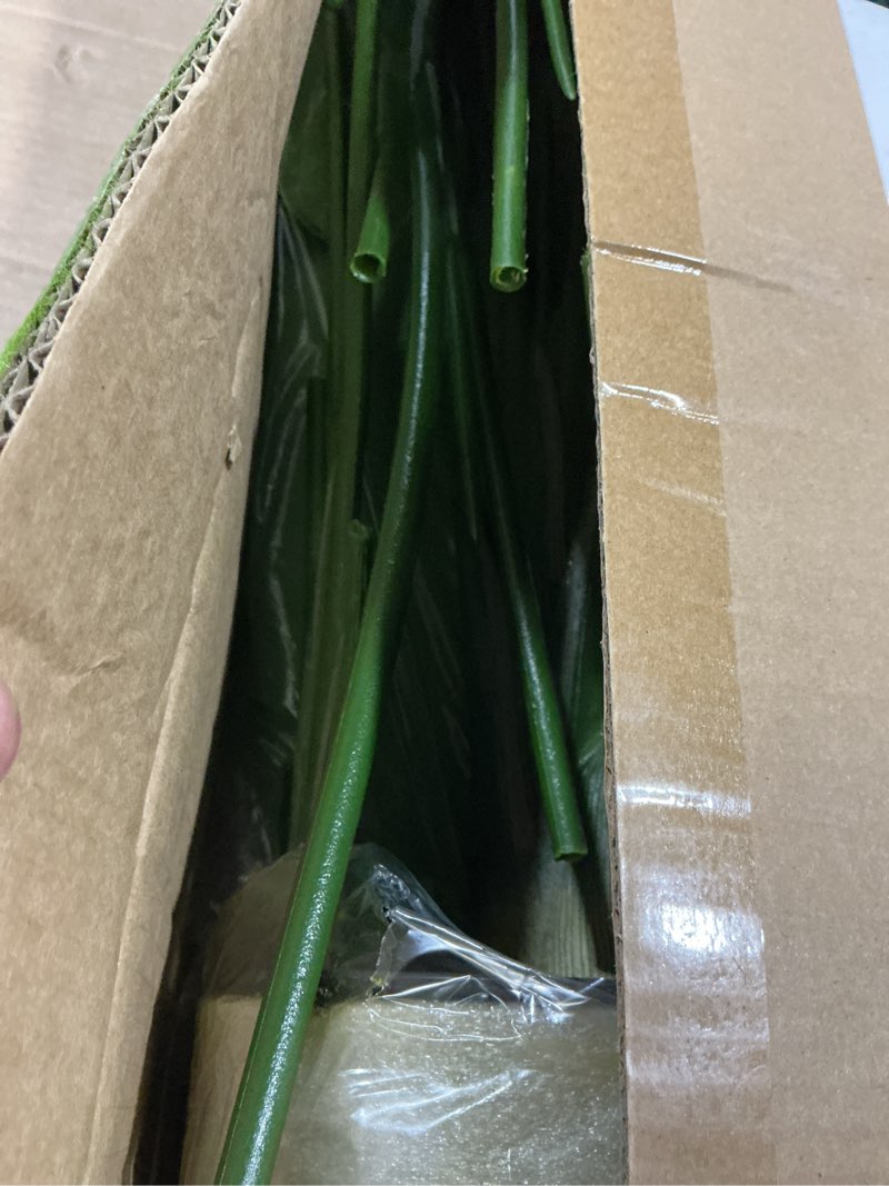 Condition photo showing Good Condition for 2Packs 4FT Artificial Bird of Paradise Plant,Faux Palm Tree Potted Plant with Real Touch Leaves,Fake Trees for Home Living Room Office Indoor Outdoor Decor(4 FT-2Packs) 4FT-2Packs Bird of Paradise