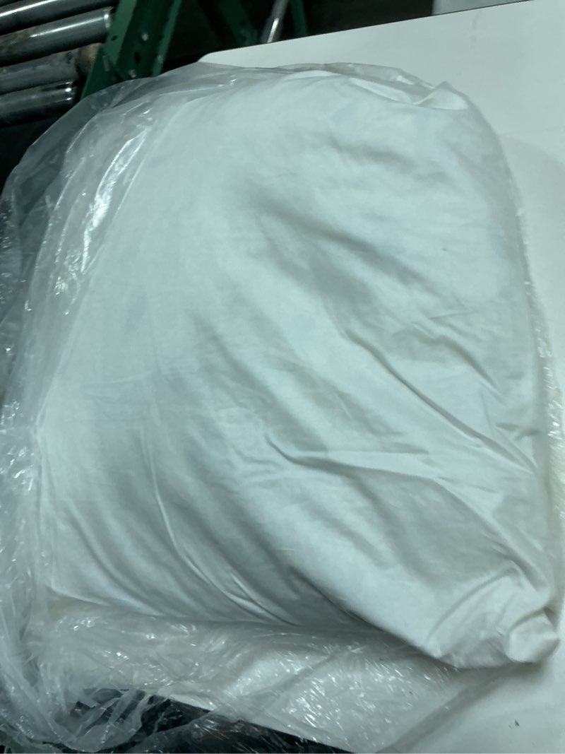 Condition photo showing As Is for premium feather pillow insert (set of 2), 20x20, no color