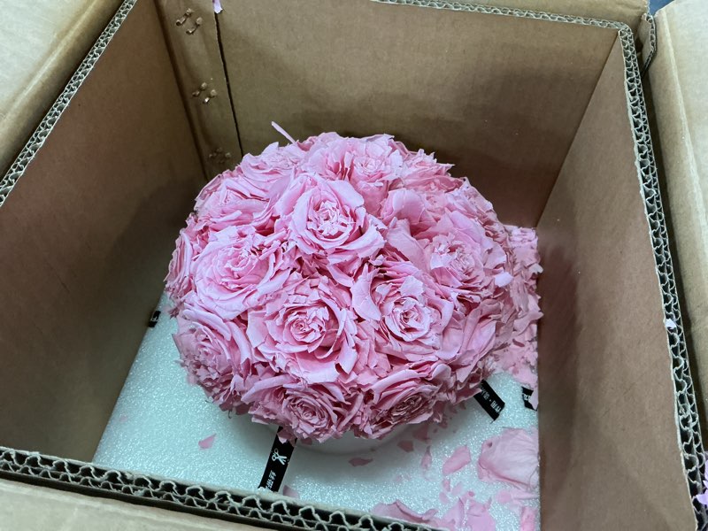 Condition photo showing As Is for joyflower preserved flowers vase ceramic decor, eternal flower vases for centerpieces, forever flower decorations for home party wedding table living room, ceramic flower vase house decors(pink)