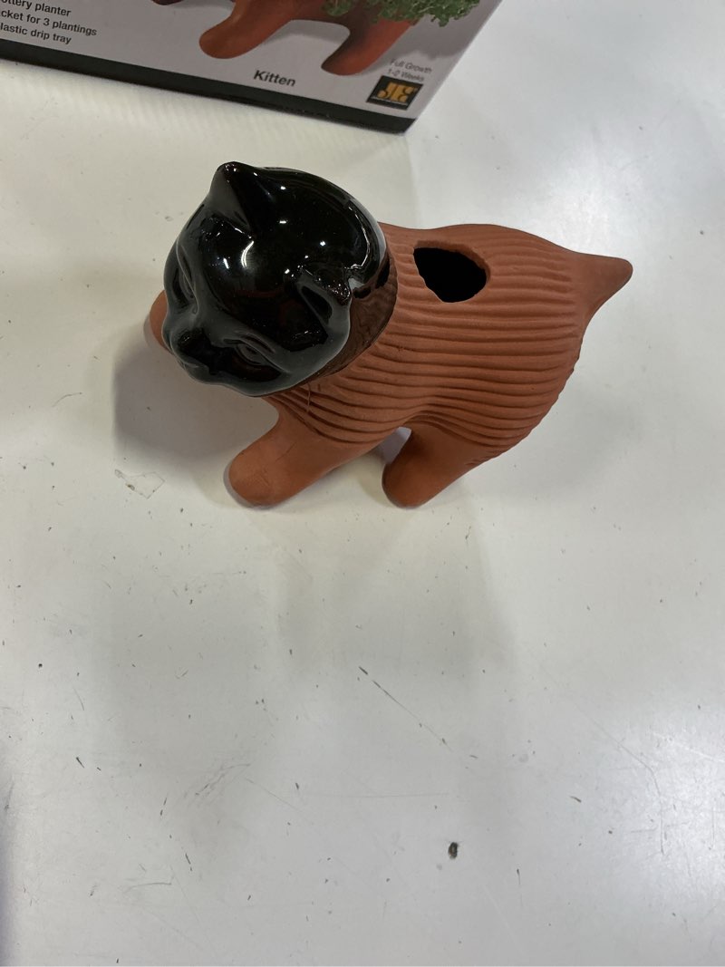 Condition photo showing Good Condition for chia pet kitten with seed pack, decorative pottery planter, easy to do and fun to grow, novelty gift, perfect for any occasion