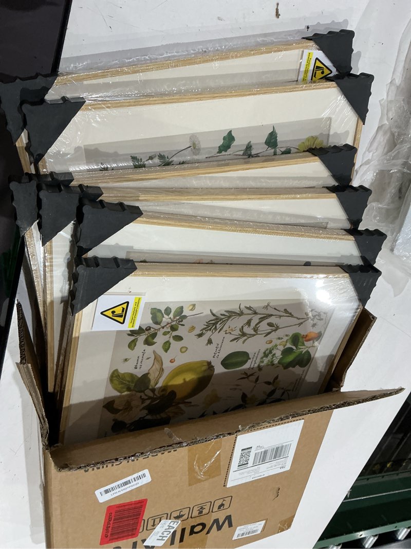 Condition photo showing New/Like New for framed green botanical wall art, set of 6 floral painting canvas prints with mat for modern farmhouse wall decor, rustic plant flower picture for living room kitchen bedroom dining room hallway, 11x14 11" w x 14" h x 6pcs botany - neutral framed