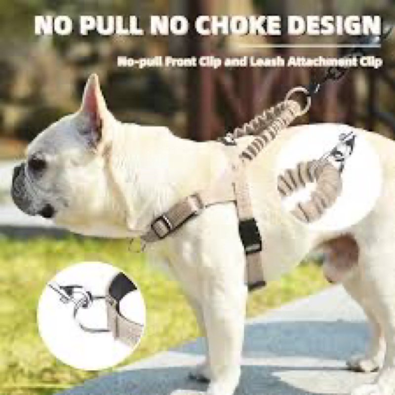 PUPTECK No Pull Dog Harness Medium Sized Dog, Adjustable Reflective Pet Vest Harness with Bungee Han