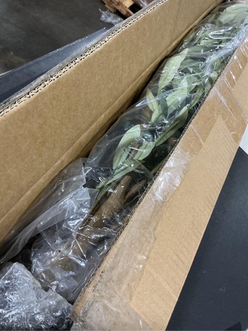 Condition photo showing New/Like New for Bellacat Faux Olive Tree 6ft?Olive Trees Artificial Indoor with Natural Wood Trunk and Realistic Leaves and Fruits. 6 Feet(72in) Fake Olive Tree for Home House Office Décor. 1 6ft