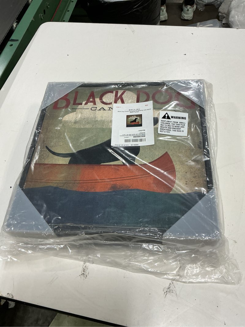Condition photo showing New/Like New for stupell industries 'black dog canoe company', framed giclee art, black, 12 x 12 inches, easy to hang