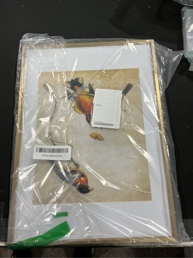 Condition photo showing Good Condition for 10x14 Picture Frame, Brass Aluminum Metal Photo Frames with HD Glass, Fits 8x10 with Mat or 10 x 14 without Mat, Display for Wall, 1 Pack Brass 10x14-1P