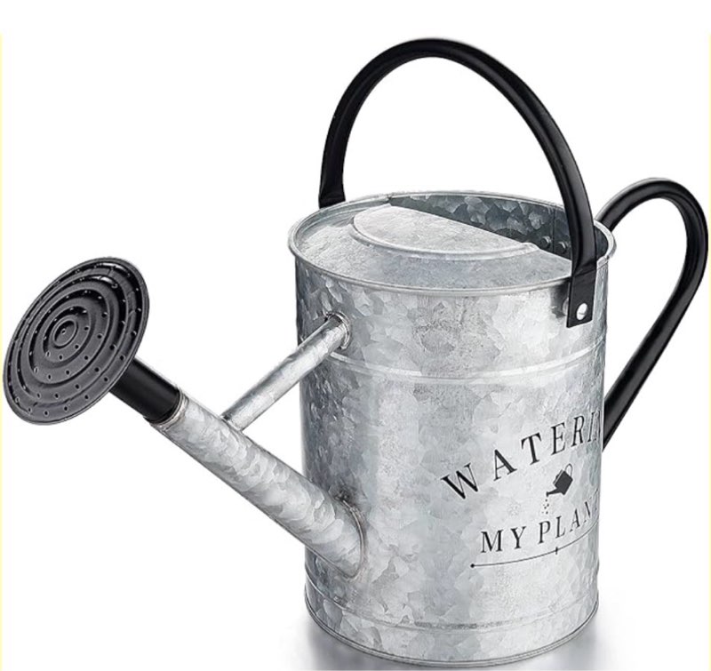 galvanized watering can for outdoor indoor plants, 1 gallon decorative countryside style water can with removable spout, perfect metal watering can for indoor plants and garden flower
