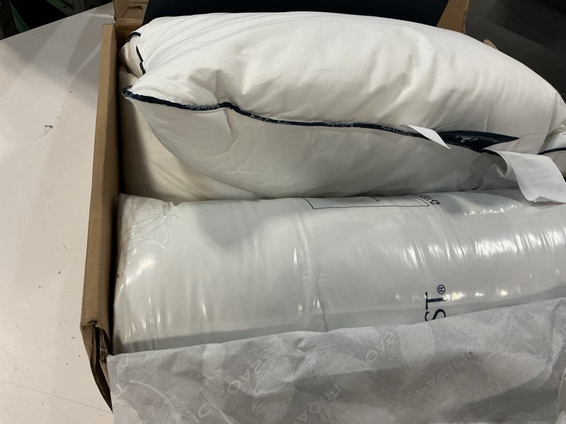 Condition photo showing Good Condition for pacific coast goose feather and down bed pillows standard size set of 2, hotel pillow for sleeping, downproof, soft, fluffy, 100% cotton shell