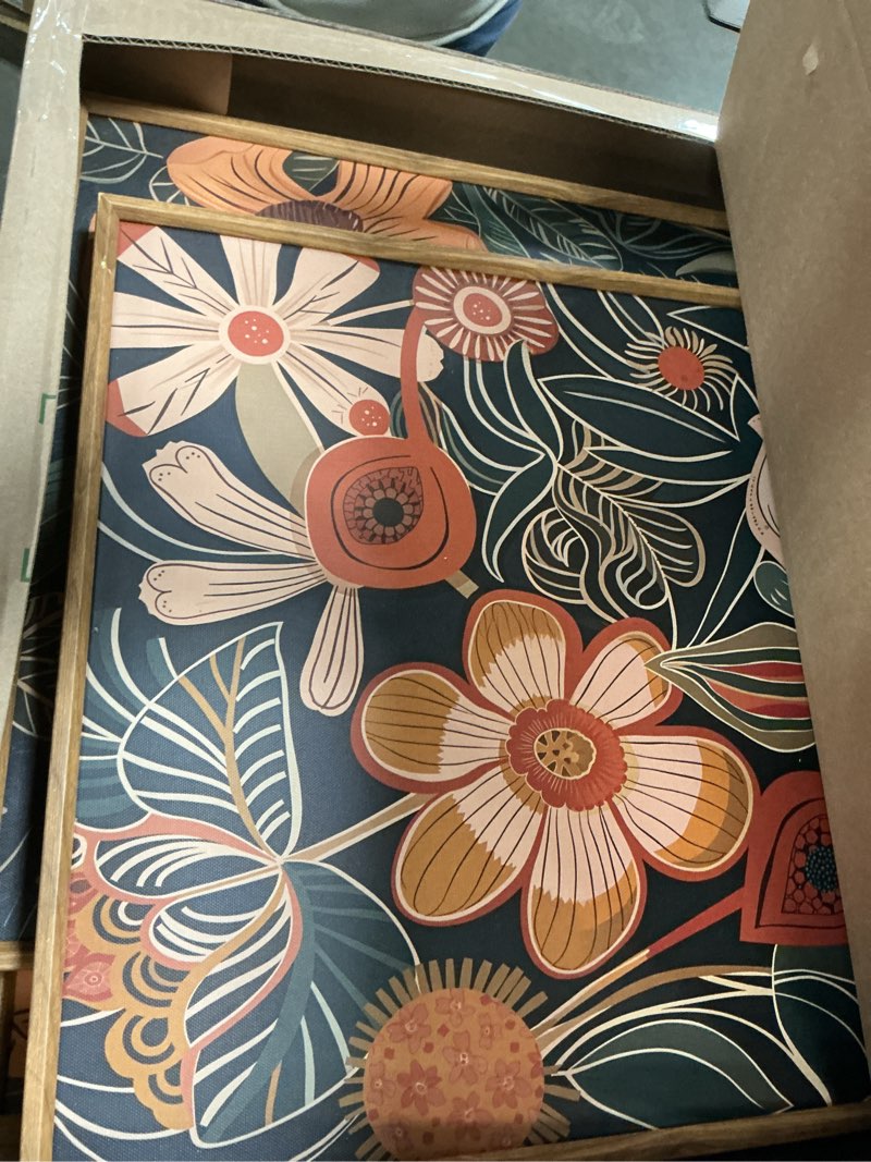 Condition photo showing As Is for Tinonedraw Vintage Burnt Orange Floral Framed Canvas Wall Art Set of 3, Boho Chic Flower Artwork, Mi