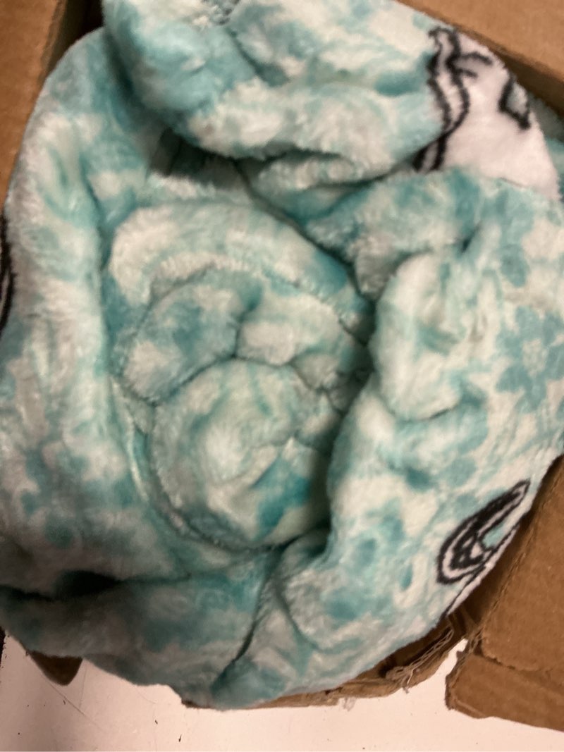 Condition photo showing Good Condition for berkshire blanket peanuts® velvetloft® cute character snoopy plush throw blanket,snoopy springtime floral dance large blue,throw 55 in x 70 in (official peanuts® product) snoopy springtime floral dance large blue throw (55 in x 70 in)