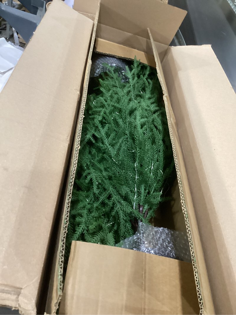 Condition photo showing Good Condition for 4FT Pre-Lit Artificial Norfolk Pine Christmas Tree – Realistic Potted Tree with 100 LED Lights & 8-Function Battery Box, Pre-Assembled Faux Holiday Décor for Indoor Use (2)
