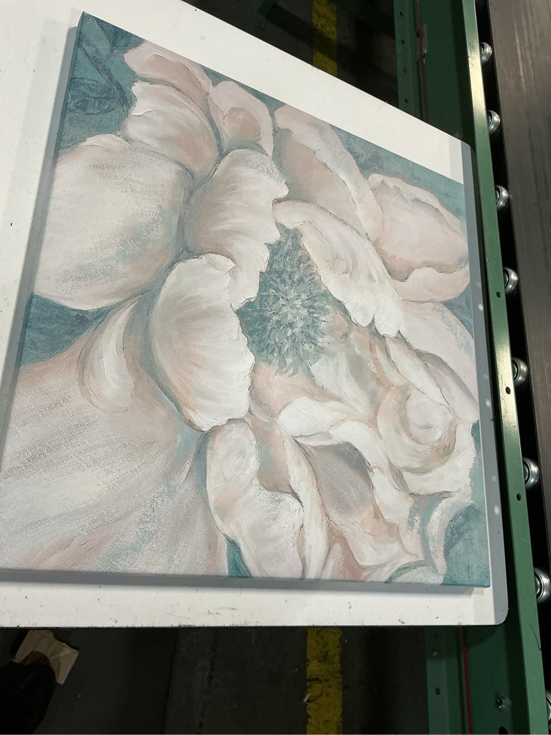 Condition photo showing As Is for yelash boho floral wall art canvas, sage green and white magnolia print, vintage oil painting style flower wall decor for living room, bedroom bathroom decor 24 x 24 inch
