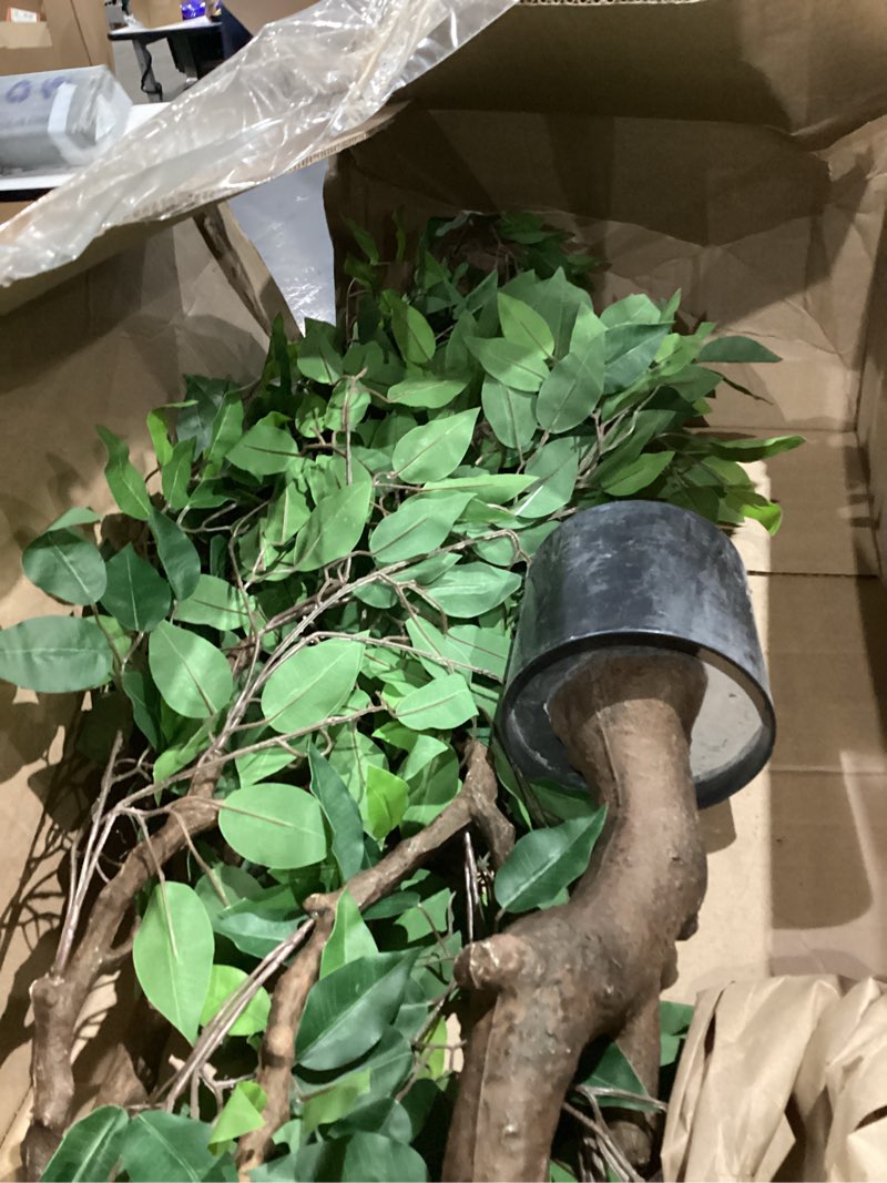 Condition photo showing As Is for 7.22ft Ficus Artificial Trees, Lifelike Faux Tree, Green Lush Fake Ficus Tree Artificial Plants for Office Home Living Room Indoor Outdoor Modern Decor, Perfect Housewarming Gift Green-ap08