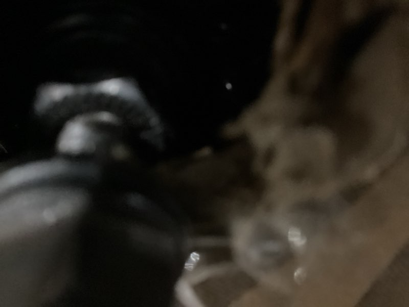 https://lotting-media.assets.bidfta.com/lotting_17f8a428-f81d-4267-abaa-69cfb8ee7cb4